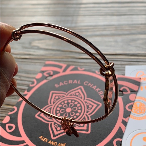 Alex and Ani Bracelet - Picture 5 of 6